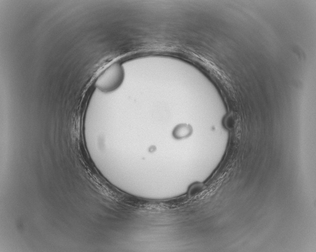 X0000115781220200912041445