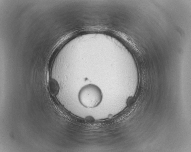 X0000115781221200912041445