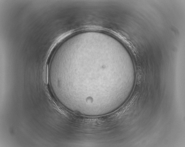 X0000115781223200912041445