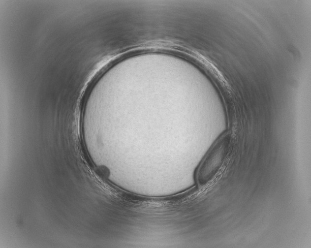 X0000115781224200912041445