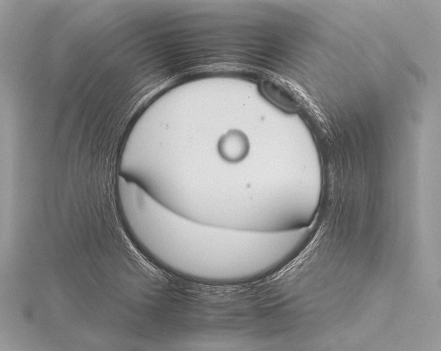 X0000115781225200912041445