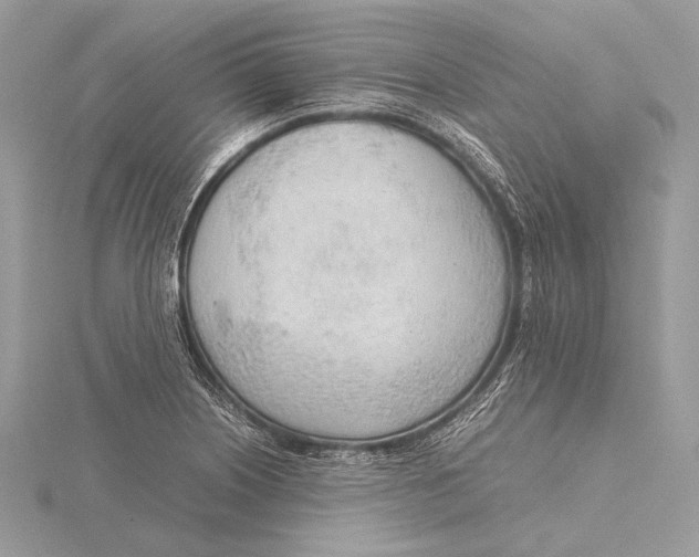 X0000115781226200912041445