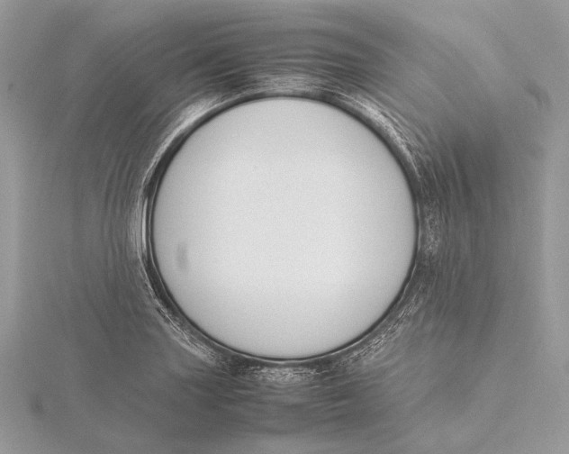 X0000115781227200912041445