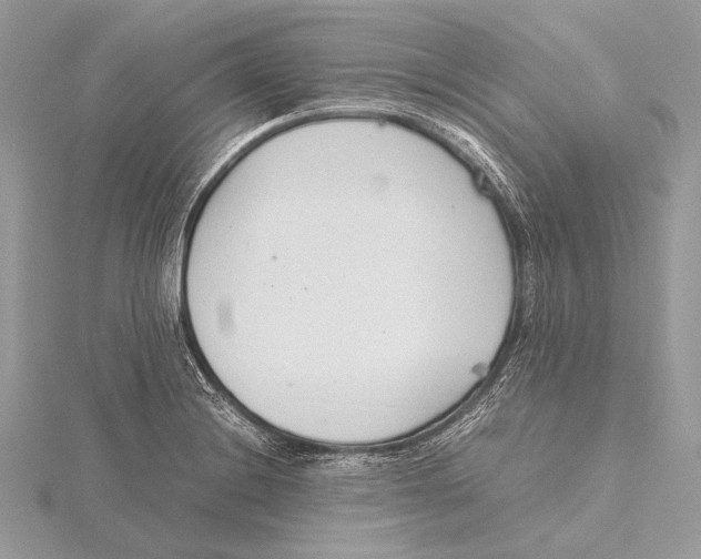 X0000115781228200912041445