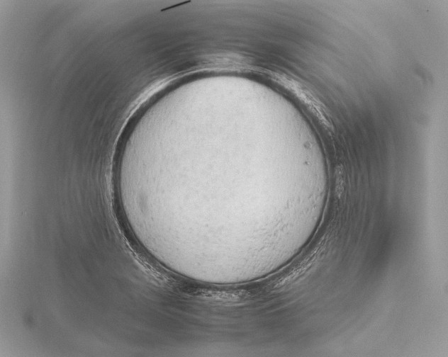 X0000115781229200912041445