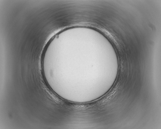 X0000115781230200912041445