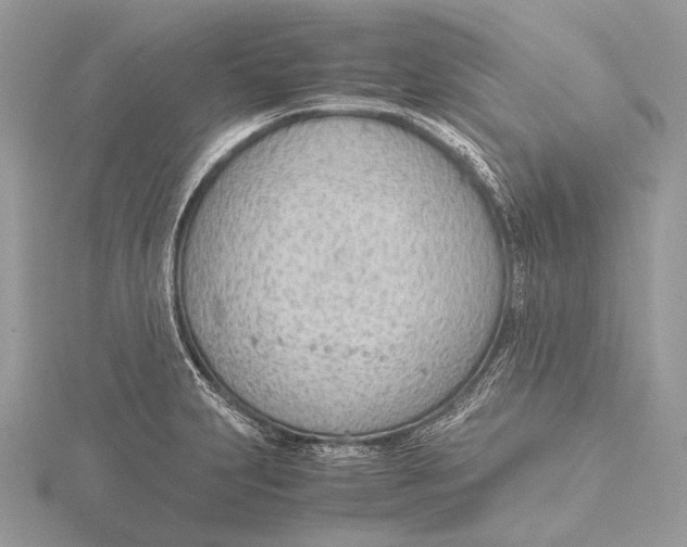 X0000115781231200912041445