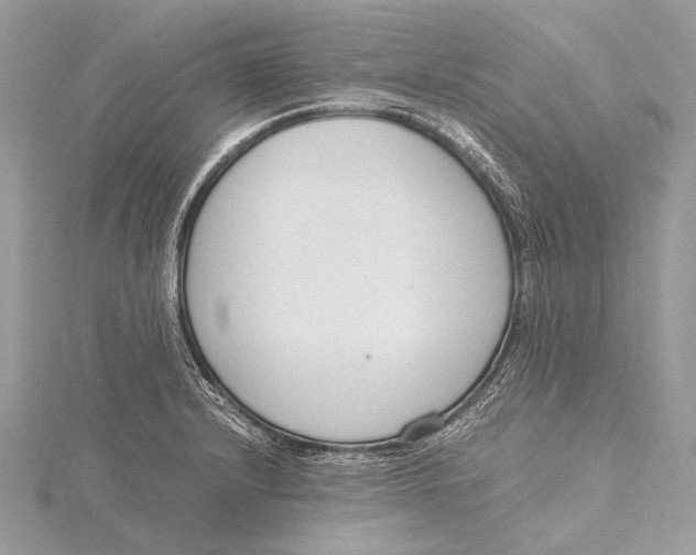 X0000115781232200912041445