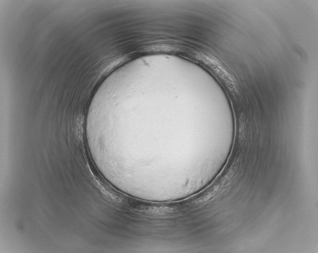 X0000115781233200912041445