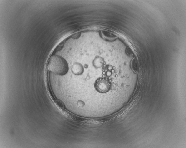 X0000115781235200912041445