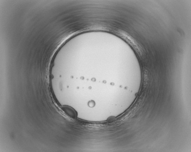 X0000115781236200912041445