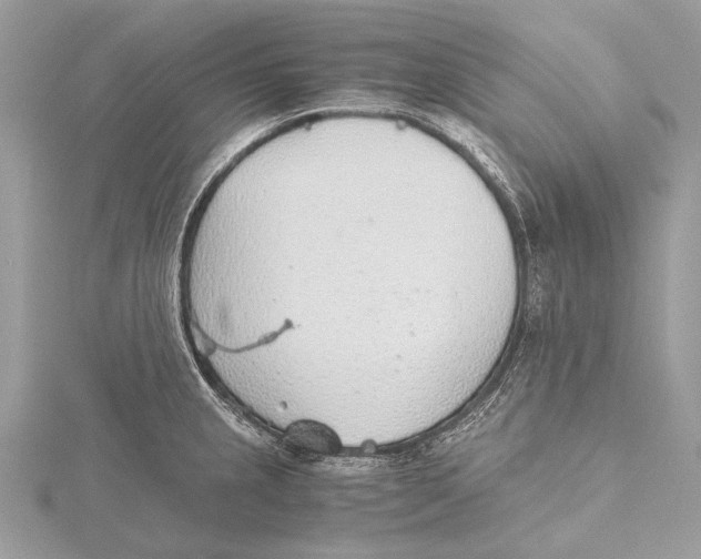 X0000115781237200912041445