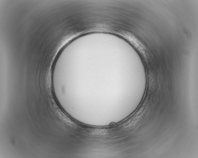 X0000115781238200912041445