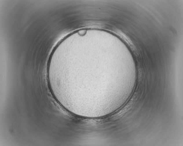 X0000115781240200912041445