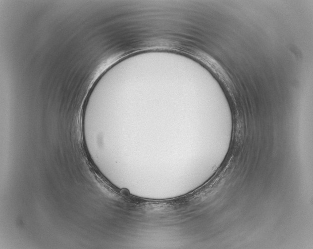 X0000115781242200912041445