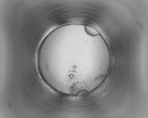 X0000115781243200912041445