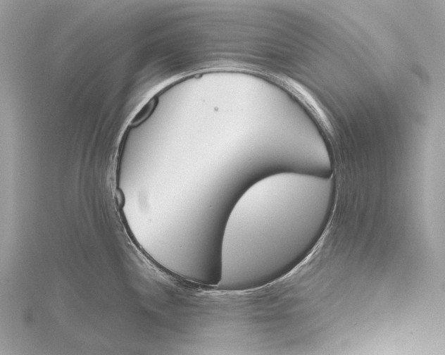 X0000115781244200912041445