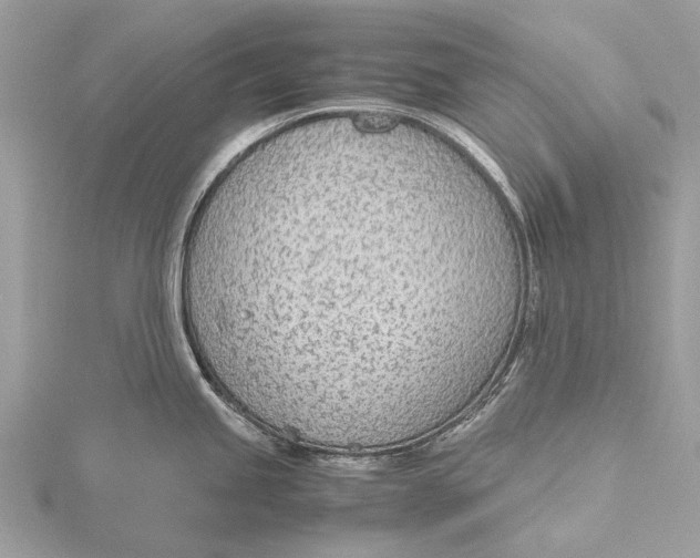 X0000115781245200912041445