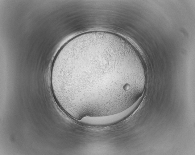 X0000115781246200912041445