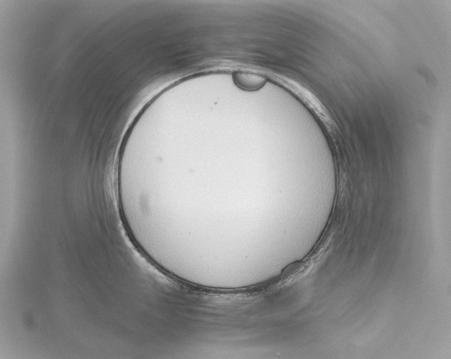 X0000115781247200912041445