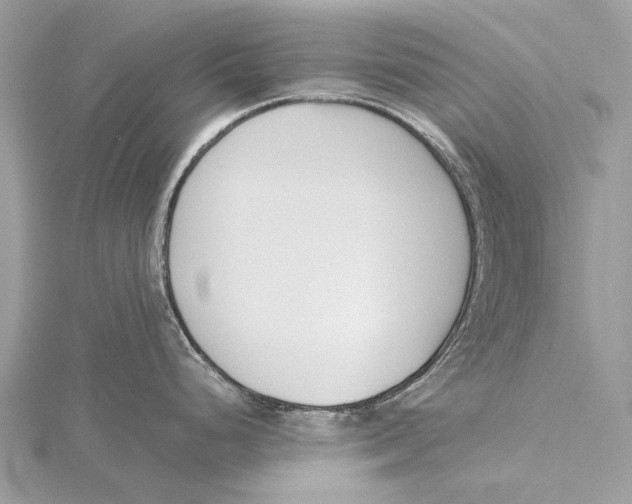 X0000115781248200912041445