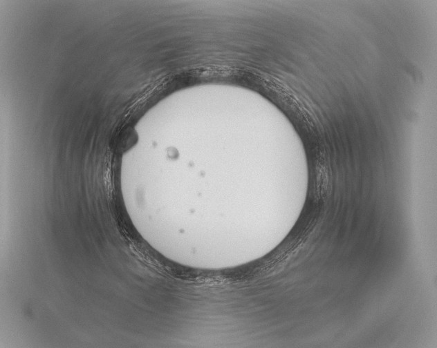 X0000115781250200912041444