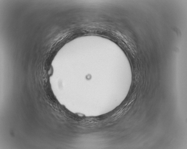 X0000115781253200912041444