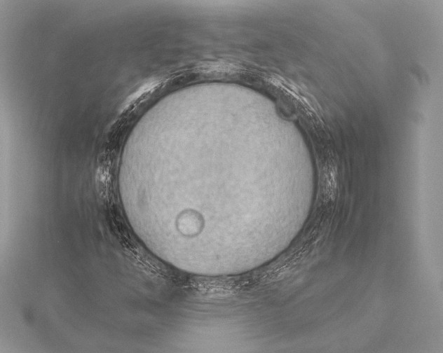 X0000115781254200912041444