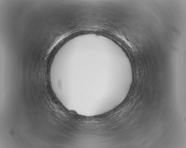 X0000115781256200912041444