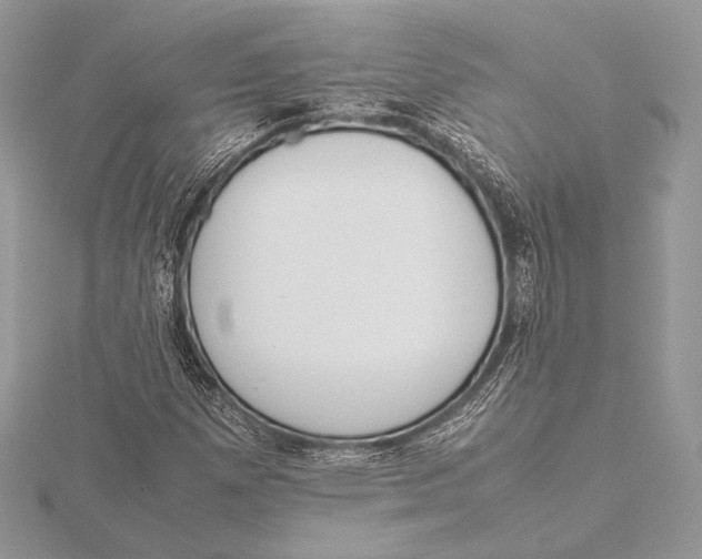 X0000115781257200912041444