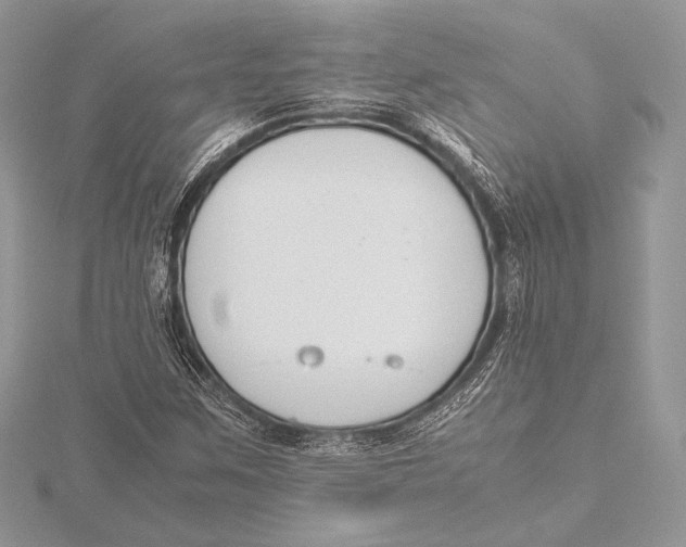 X0000115781259200912041444