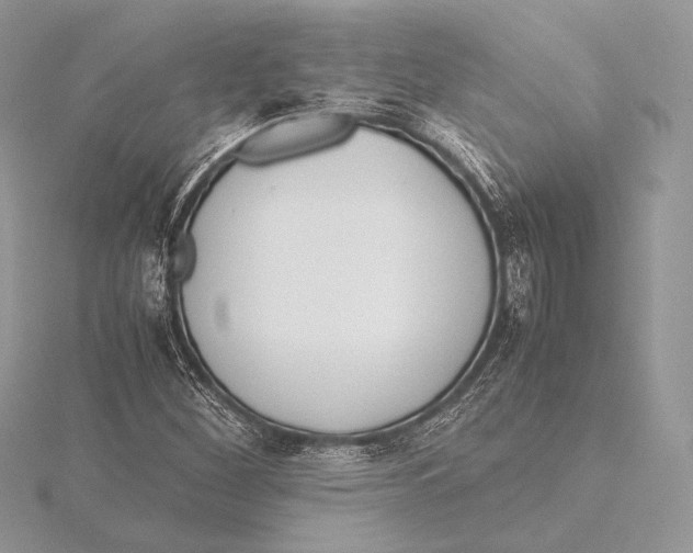 X0000115781260200912041444