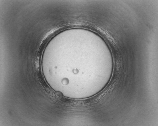 X0000115781262200912041444