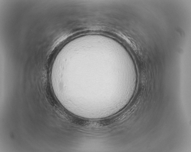 X0000115781263200912041444