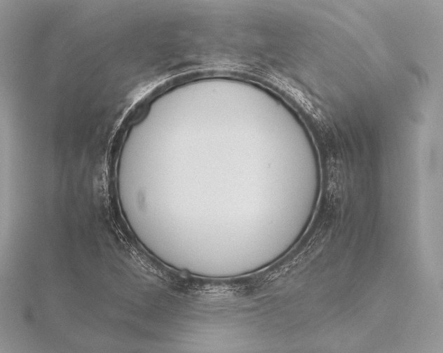 X0000115781264200912041444