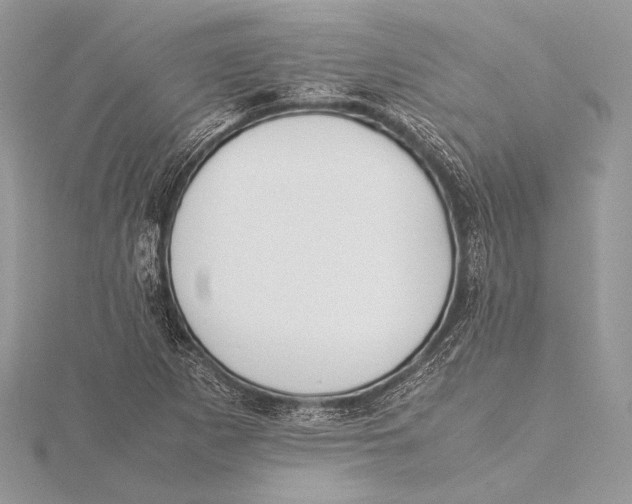 X0000115781265200912041444