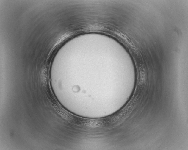 X0000115781266200912041444