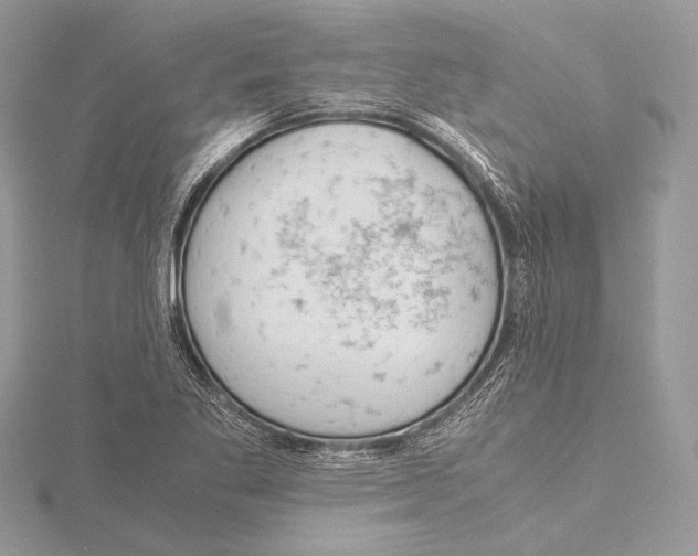 X0000115781269200912041444