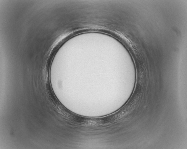 X0000115781271200912041444