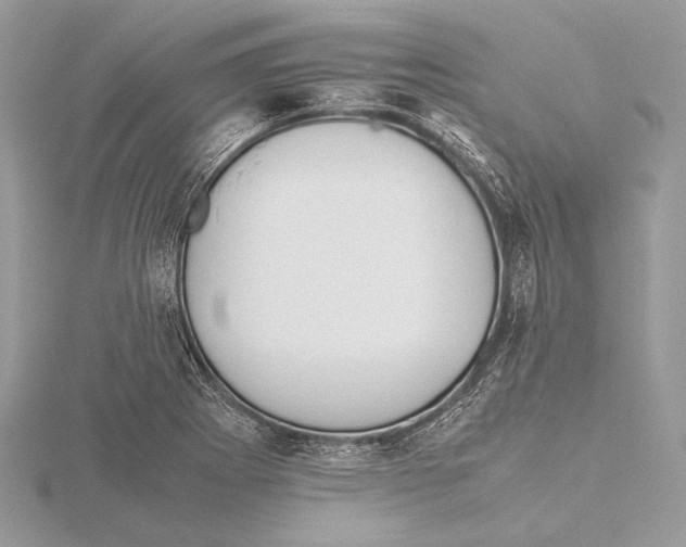 X0000115781273200912041444