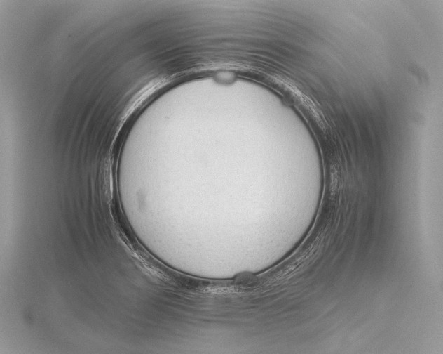 X0000115781274200912041444