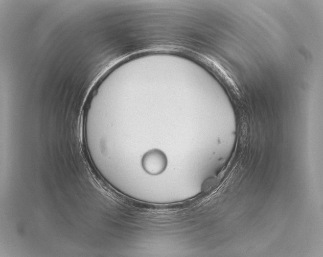 X0000115781276200912041444