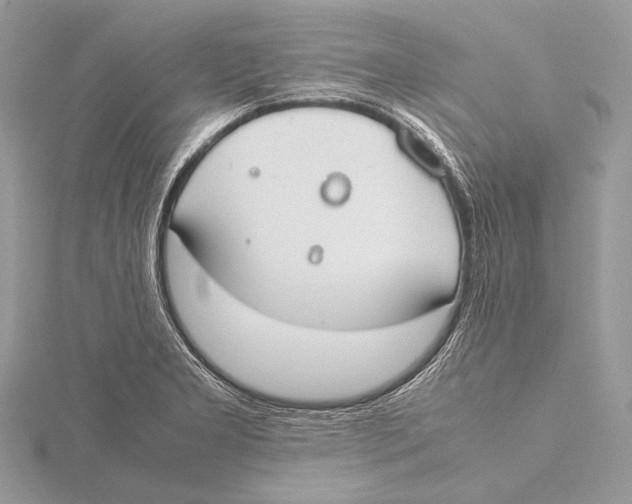 X0000115781277200912041444