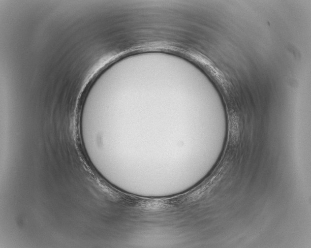 X0000115781278200912041444