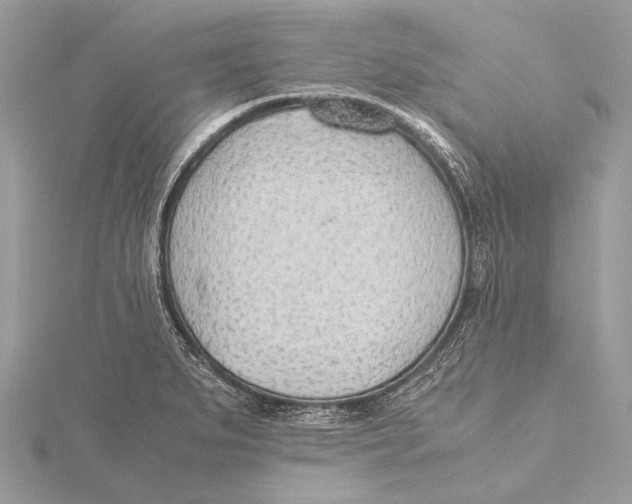 X0000115781279200912041444