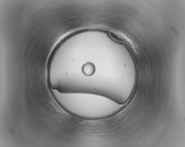 X0000115781280200912041444