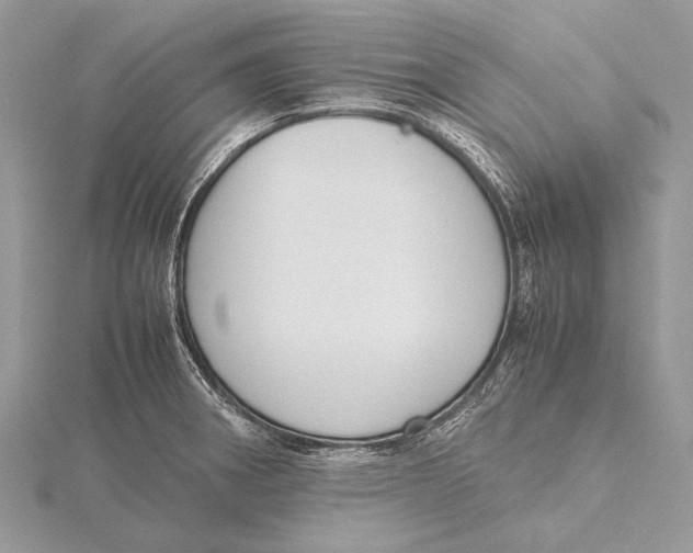 X0000115781282200912041444