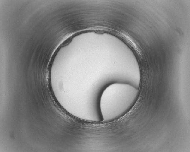 X0000115781284200912041444