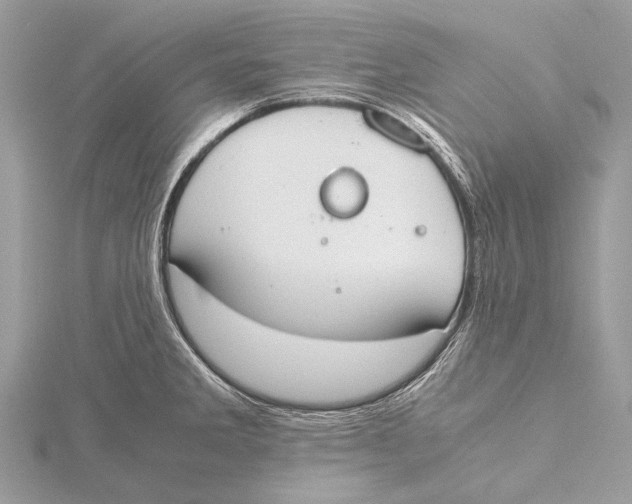 X0000115781285200912041444