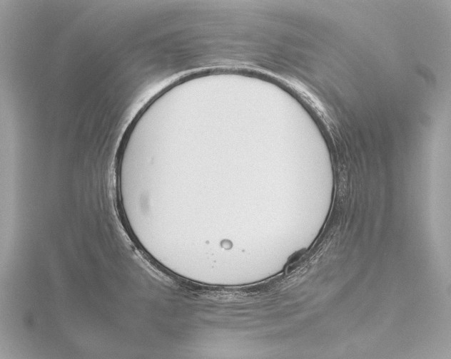 X0000115781287200912041444